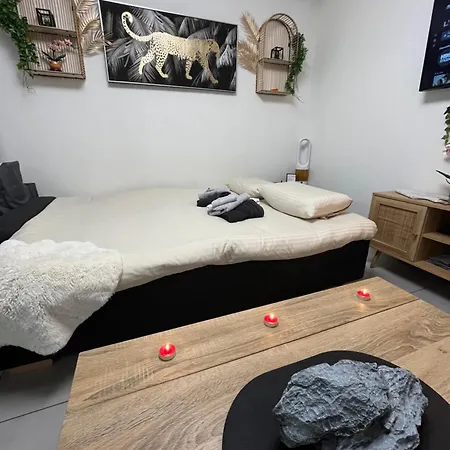 Paris Cosy Luxe Avec Jardin Proche Metro Apartman *