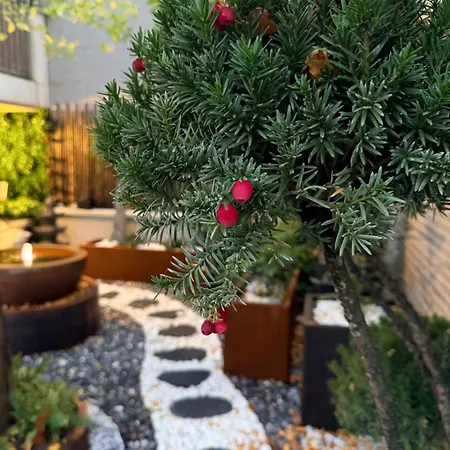 Paris Cosy Luxe Avec Jardin Proche Metro