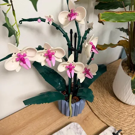 Apartman Paris Cosy Luxe Avec Jardin Proche Metro Romainville