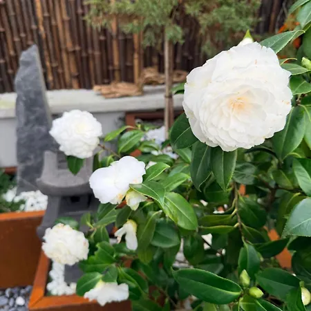 Apartman Paris Cosy Luxe Avec Jardin Proche Metro