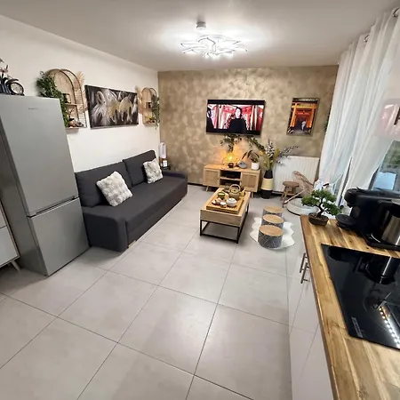 Paris Cosy Luxe Avec Jardin Proche Metro Apartment Romainville